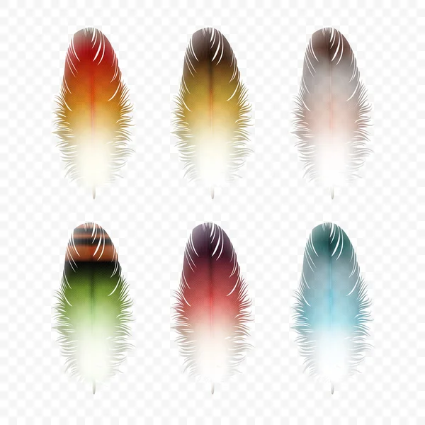 Set de Plumas Aisladas — Vector de stock