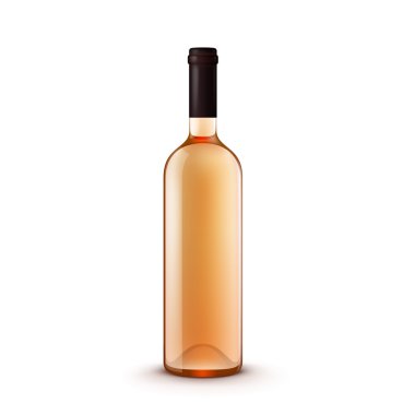 Cam vektör şarap şişe