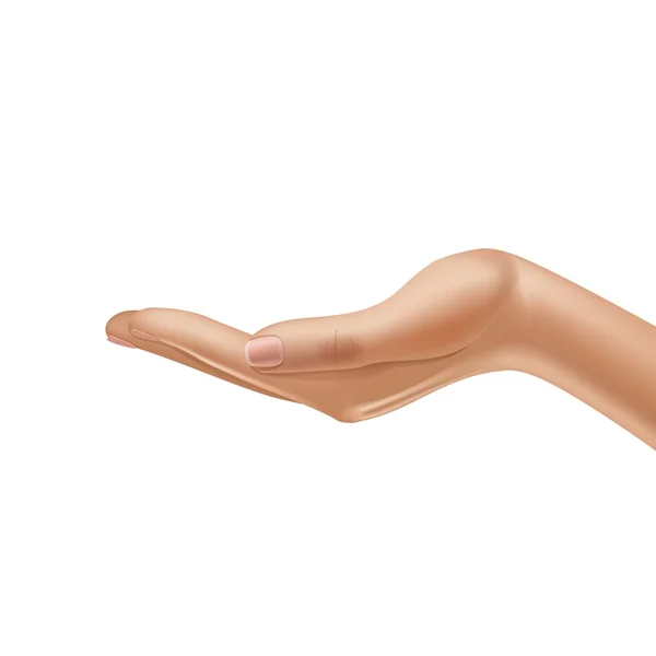 Διάνυσμα γυναικείο χέρι που απομονώνονται σε λευκό φόντο — Διανυσματικό Αρχείο