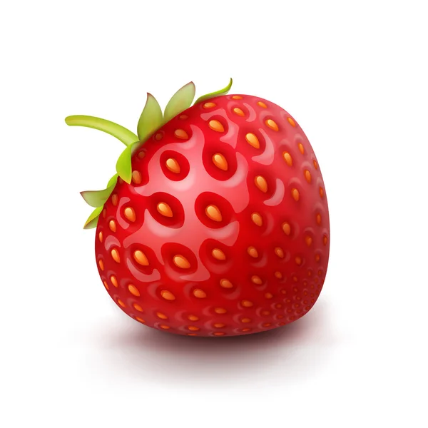 Vector Strawberry Isolated — Stock Vector