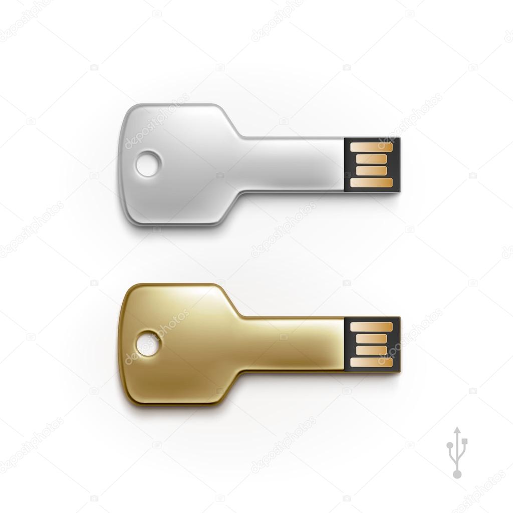 USB Key Flash Drive Stick Memory Vector Isolated