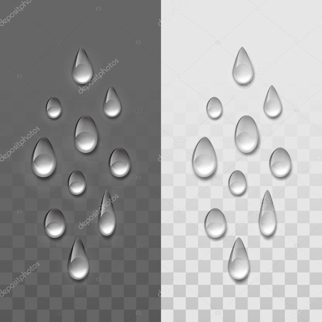 Vector Realistic Water Drops Set Isolated