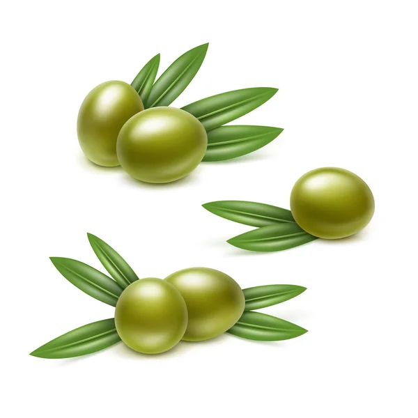 Conjunto vetorial de ramos de azeitonas verdes com folhas isoladas —  Vetores de Stock