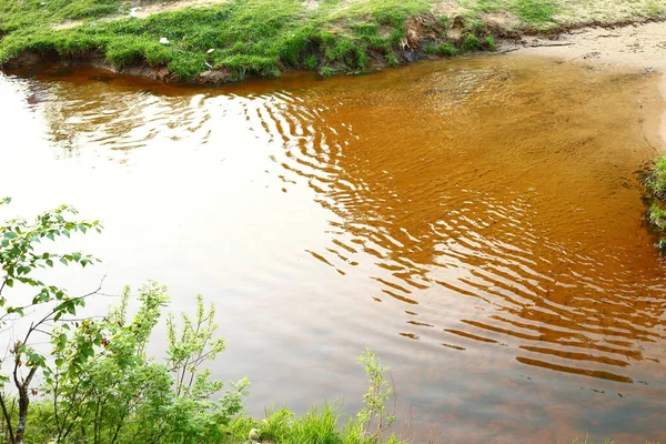 Reservoir in the wild forest — Zdjęcie stockowe