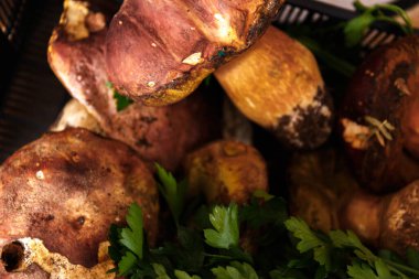 Beyaz ahşap arka planda maydanozlu enfes sepet mantarları.