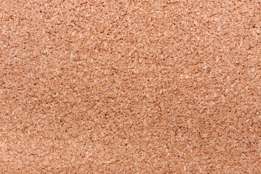 mantar pano dokusu arka planı, mantar yaban domuzu