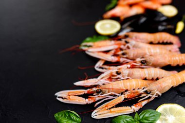 Norveç Istakozu ya da langoustineon koyu kırsal bir arka planda. Nefrops norvegicus, Dublin Körfezi karidesi, langostino veya karidesleri yakın plan
