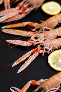 Norveç Istakozu ya da langoustineon koyu kırsal bir arka planda. Nefrops norvegicus, Dublin Körfezi karidesi, langostino veya karidesleri yakın plan