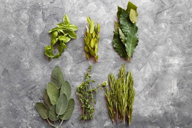 Koyu arkaplanda taze İtalyan otları. Çeşit çeşit otlar, fesleğen, biberiye, mersin, defne