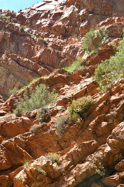 Formaciones Rocosas Del Paso Swartberg —  Fotos de Stock