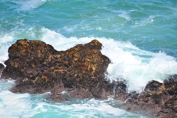 Océano olas estrellándose — Foto de Stock