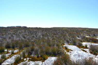 Table Mountain Cape Town, Güney Afrika en üstten görüntülemek.