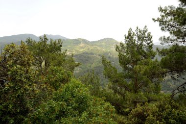 Troodos Dağları