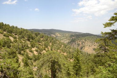 Troodos Dağları