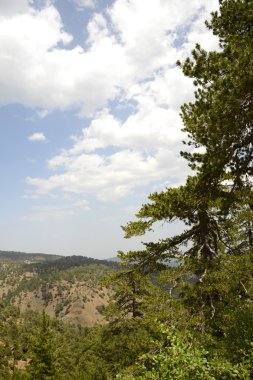 Troodos Dağları