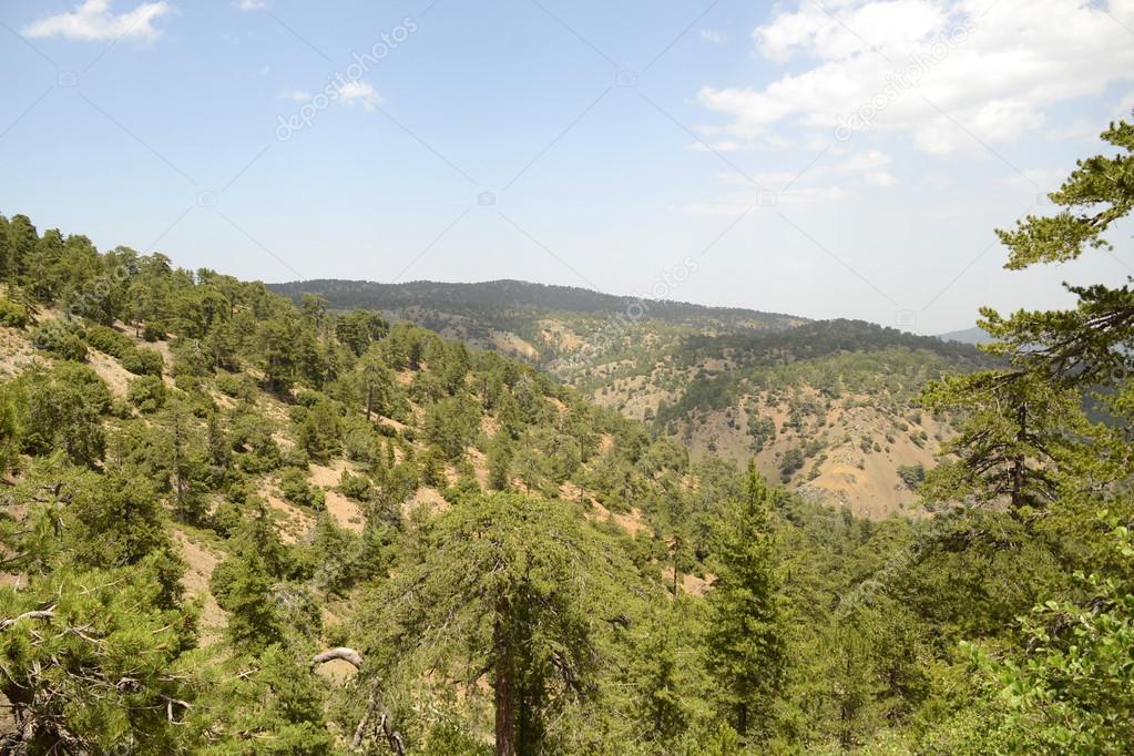 Troodos Mountains