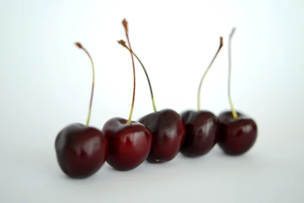 Cerejas pretas frescas — Fotografia de Stock