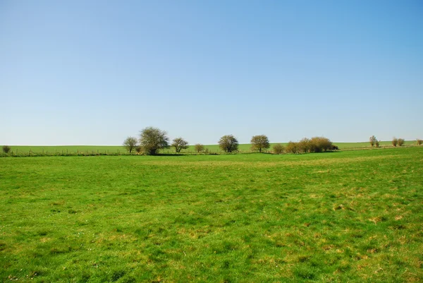 Campo de aplicação — Fotografia de Stock