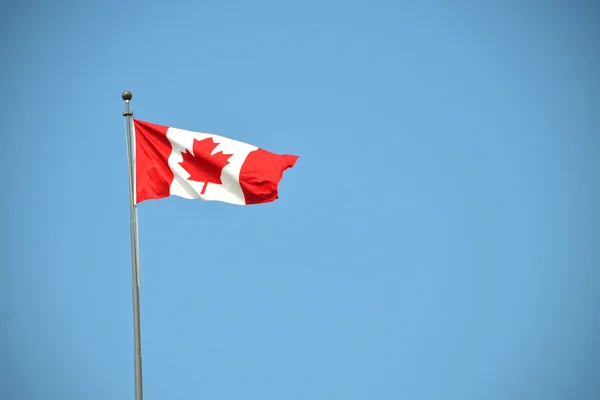 Canadian Flag Waving — Stock Photo, Image