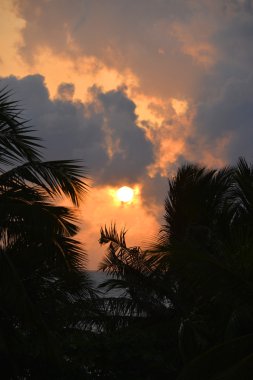 Günbatımı üzerinde avuç içi