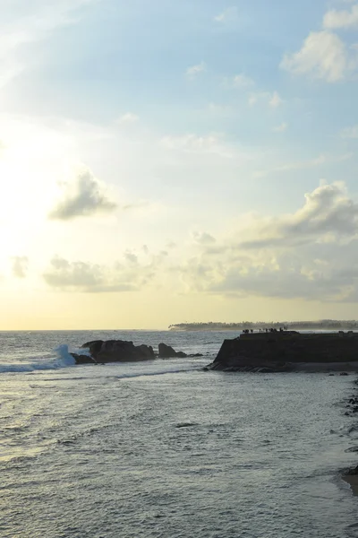 Sri Lankas kyst – stockfoto