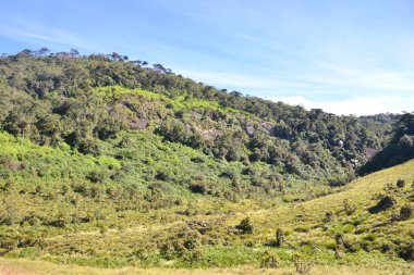 Horton Plains Ulusal Parkı