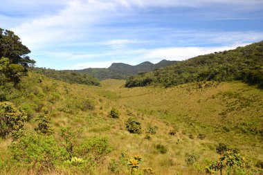 Horton Plains Ulusal Parkı
