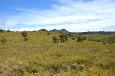 Horton Plains Ulusal Parkı