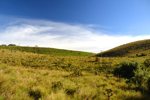 Park Narodowy Horton Plains — Zdjęcie stockowe