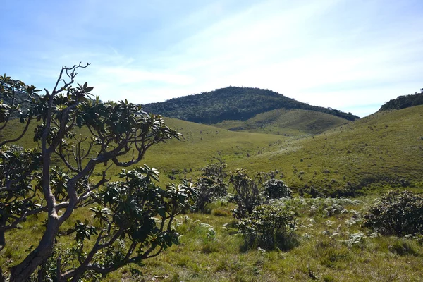 Parque Nacional Horton Plains —  Fotos de Stock