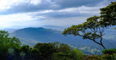 Dağ zirvesi fotoğrafları Phu Luang vahşi yaşam sığınağı