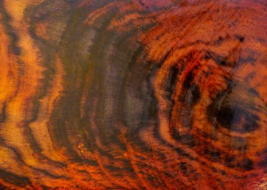 Gül ağacı halkaları doğal desenli arka plan yüzeyi