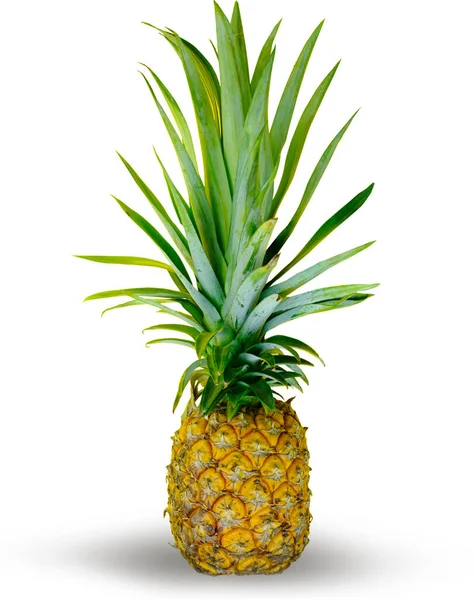 Ananas Izolovaném Bílém Pozadí — Stock fotografie