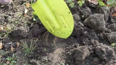 Birisi yeşil bir kürekle yerde bir çukur kazıyor.