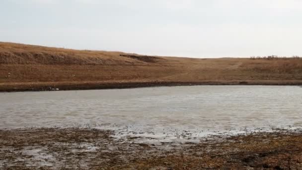 Un paisaje dramático de un lago seco. El fondo seco del lago seco en las grietas grandes. Conceptualmente: Cuestiones relacionadas con el medio ambiente del calentamiento global — Vídeos de Stock