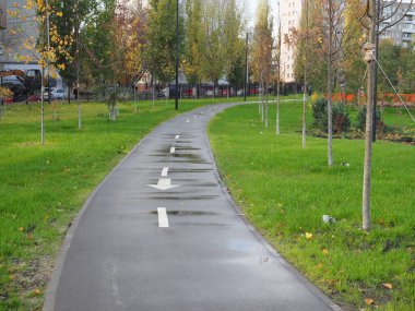 Sonbaharda parkta bisiklet yolu.