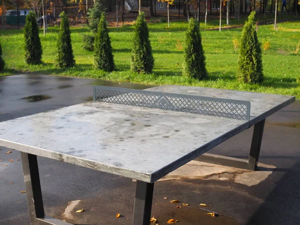 Pingpongtafels Een Openbaar Park Outdoor Speeltuin Met Veel Tennistafels — Stockfoto