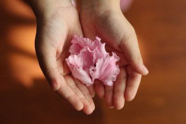 Çocuklar ellerinde pembe bir çiçek tutuyor..