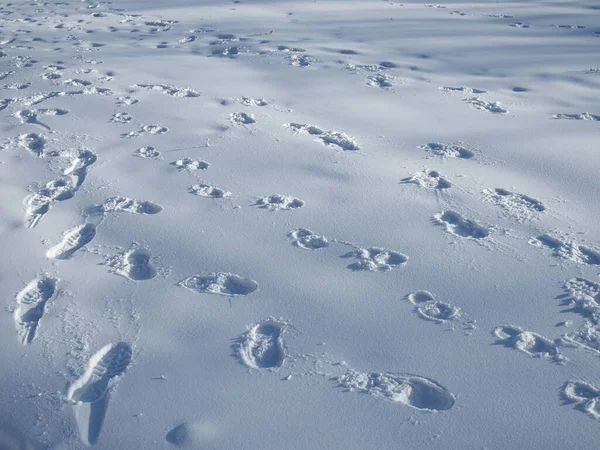 Voetstappen Sneeuw Pizol Zwitserse Alpen — Stockfoto