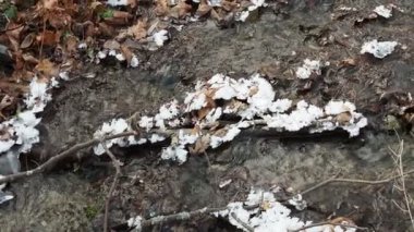 Dökülen yaprakların arasında akan dere, kırağı kaplamış. Sonbahar dondurmaları.