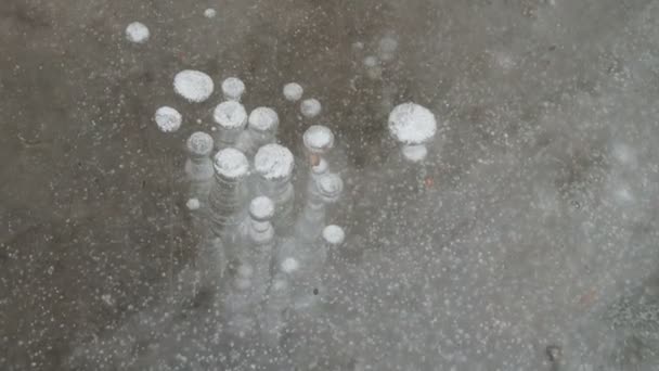 Latar belakang pola tekstur White Winter, gelembung udara es sungai stagnan. menggambar di es beku yang terbentuk. — Stok Video