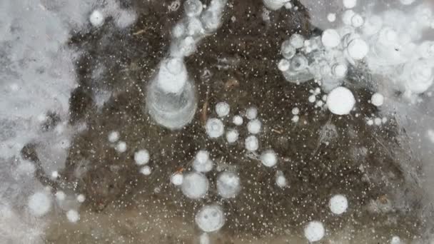 Padrão de textura fundo branco Inverno, rio gelo bolhas de ar estagnado. desenho na geada de gelo formada. — Vídeo de Stock