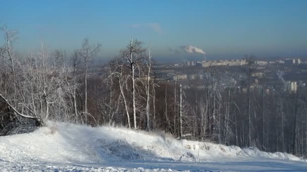 Сильный ветер и снег в городе. Снежный ураган зимой. 4k видео — стоковое видео