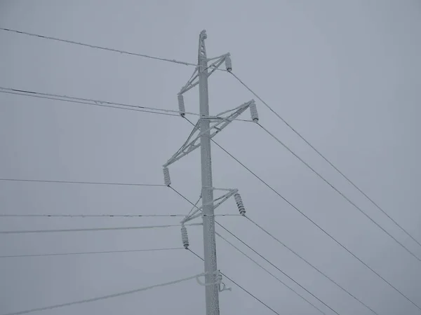 Electricity power line with frost crystals in winter in fog