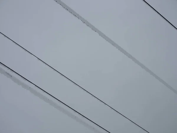 冬の霜結晶と電力線 — ストック写真