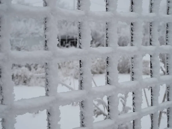 Van Dichtbij Metalen Gaas Bedekt Met Een Dikke Laag Sneeuw — Stockfoto