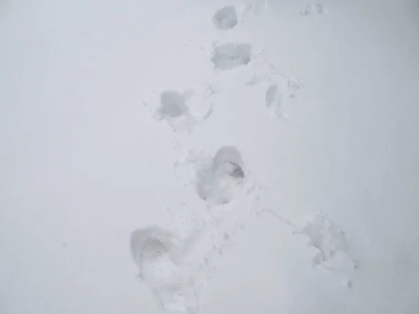 Mély Lábnyom Hóban — Stock Fotó