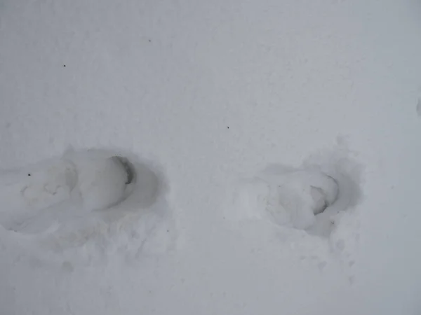 Deep Foot Print Snow Winer Day — Stock Photo, Image