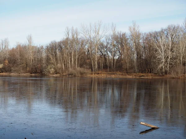 Late autumn. The first ice on the forest lake. The hummocks are covered with a thin layer of snow, the ice is very thin.