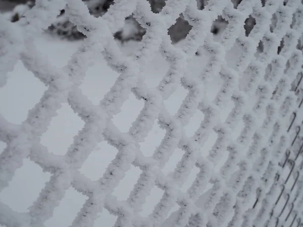 Yakın Çekimde Hücrelerde Kalın Bir Kar Tabakasıyla Kaplı Metal — Stok fotoğraf